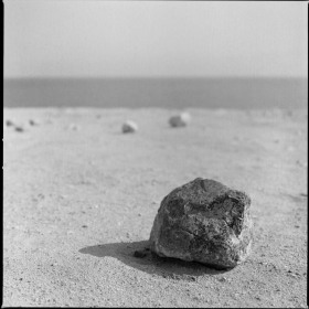 alive stone of DeadSea