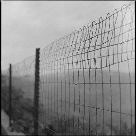 rainy fence