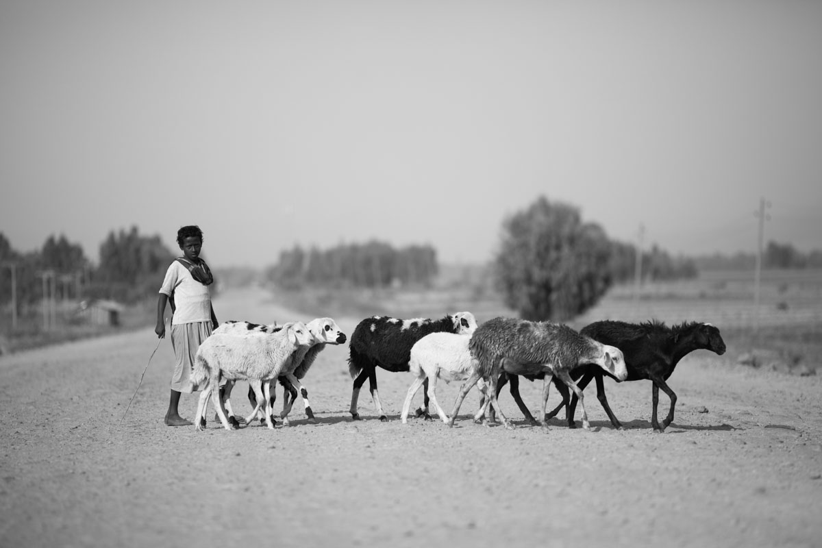 Ethiopia - black and white photo essay (9 images) - Photographer's log